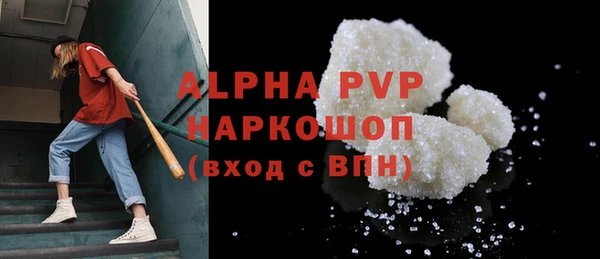 твердый Осинники