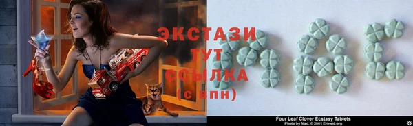 твердый Осинники