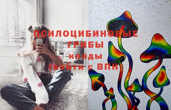 твердый Осинники