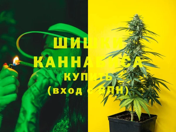 твердый Осинники