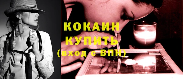 твердый Осинники